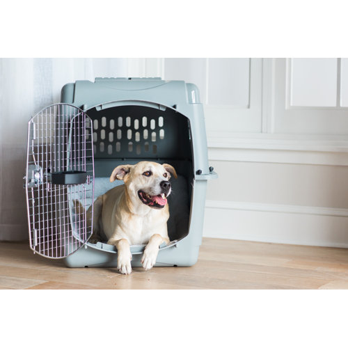 Petmate Sky Vault Door Yard Kennel Pet Carrier & Reviews Wayfair